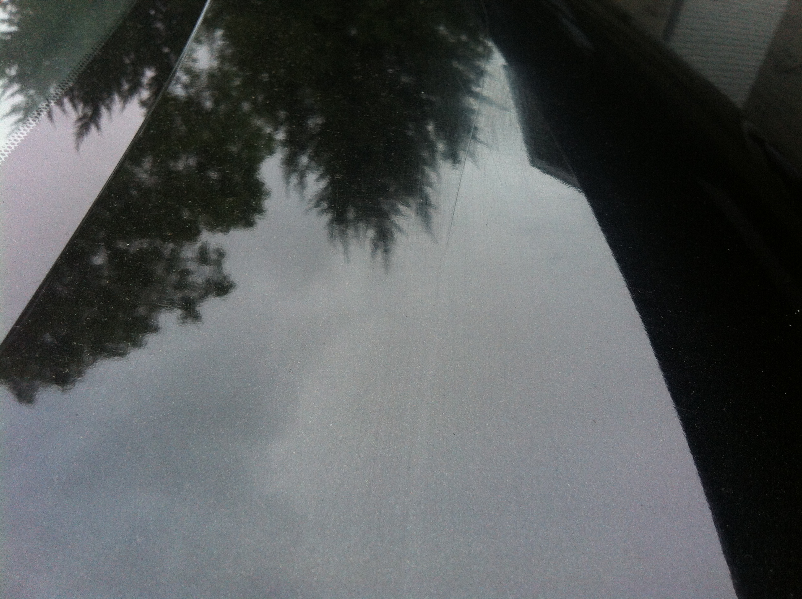 2013-05-23 19.56.04.jpg